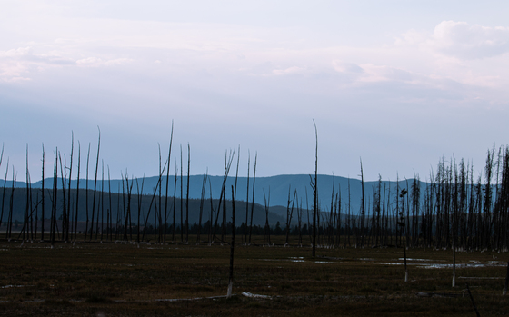 Yellowstone National Park