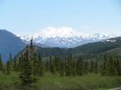 Denali National Park