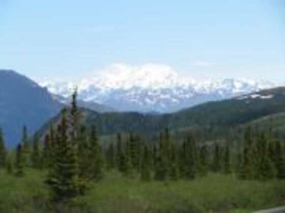 Denali National Park