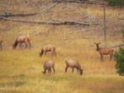 Rocky Mountain National Park
