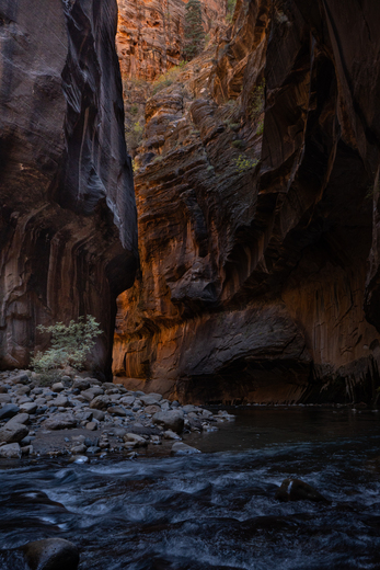 Zion National Park