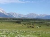 Grand Teton National Park