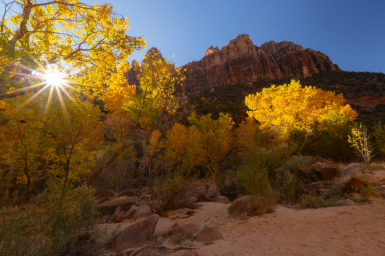 Zion National Park