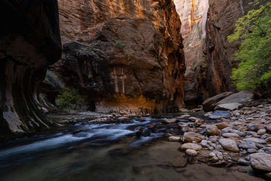 Zion National Park