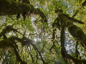 Olympic National Park