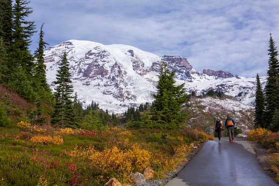 Mt. Rainier National Park