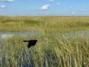 Everglades National Park