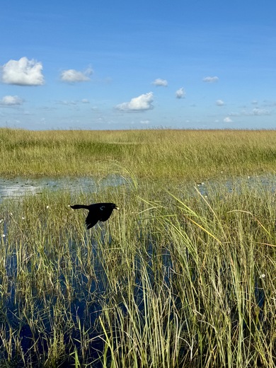 Everglades National Park