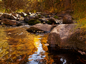 Great Basin National Park