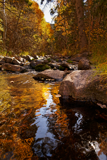 Great Basin National Park