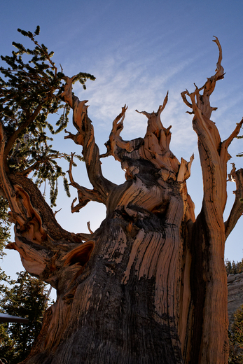 Great Basin National Park