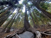 Crater Lake National Park 