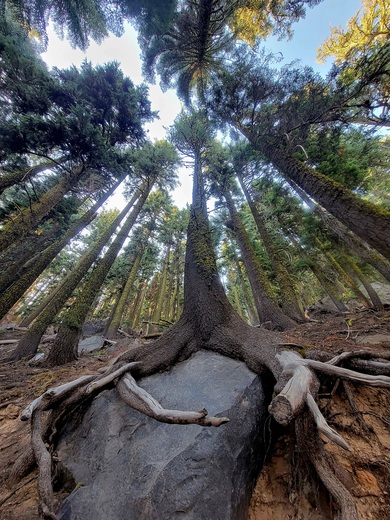 Crater Lake National Park 
