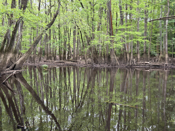 Congaree National Park