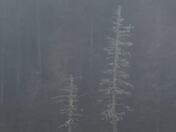 Acadia National Park - Southwest Harbor