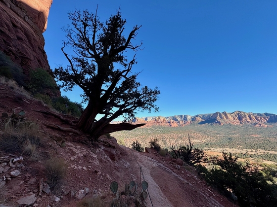 Coconino National Forest