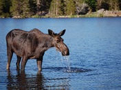 Rocky Mountain National Park