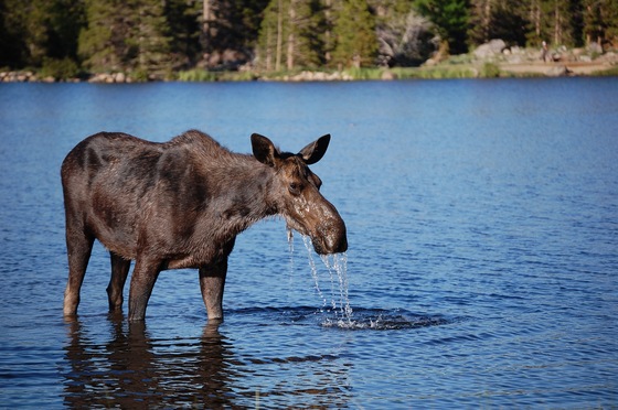 Rocky Mountain National Park