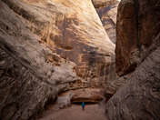 Capitol Reef National Park