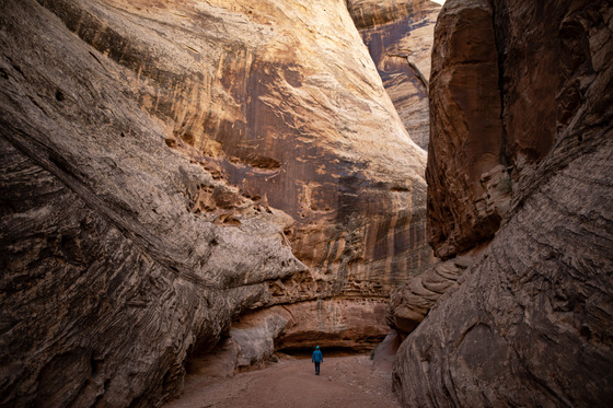 Capitol Reef National Park