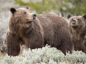 Grand Teton National Park