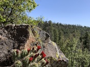 Rock crossing campground 