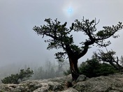 Rocky Mountain National Park