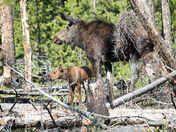 Rocky Mountain National Park