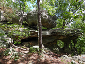 Pickle Springs Natural Area