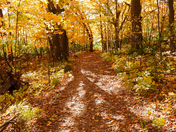 Ledge View Nature Center