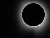 Mark Twain National Forest 