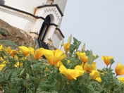 Piedras Blancas Light Station