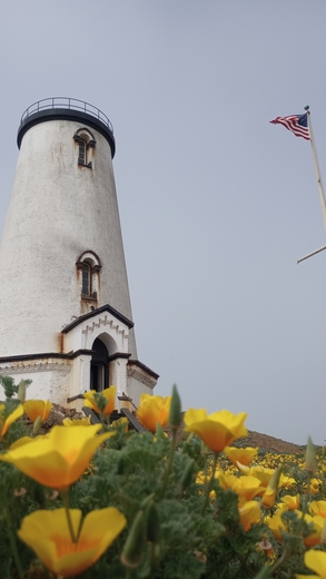Piedras Blancas Light Station
