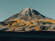 Gunnison National Forest 