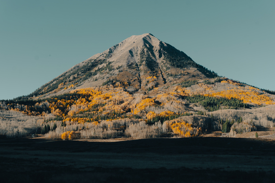 Gunnison National Forest 