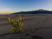 Great Sand Dunes National Park 
