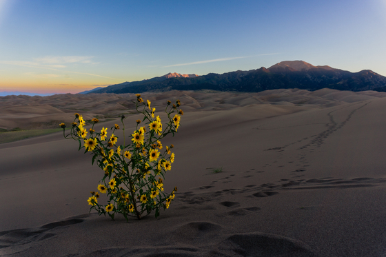 Great Sand Dunes National Park 