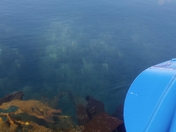 Channel Islands National Park