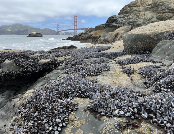 Golden Gate National Recreation Area 