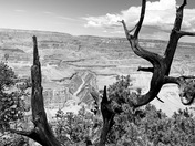 Grand Canyon south rim