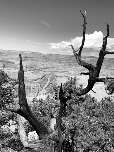 Grand Canyon south rim