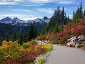 Mt. Rainier National Park