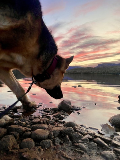 Apache Lake, AZ 