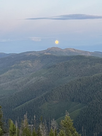 Kootenia National Forest