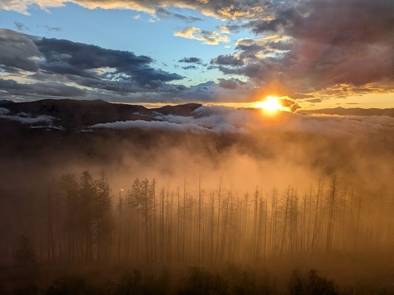 Kootenia National Forest