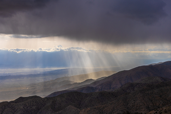 Joshua Tree National Park