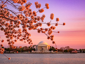 National Mall and Memorial Parks