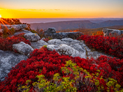 Dolly Sods Wilderness - Monongahela National Forest