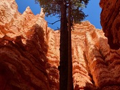 Bryce Canyon National Park