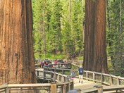 Yosemite National Park